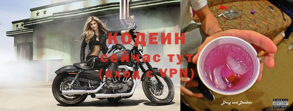 ГАЛЛЮЦИНОГЕННЫЕ ГРИБЫ Балабаново