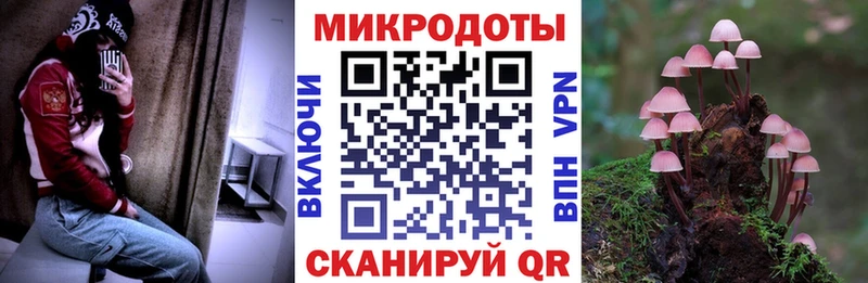 Галлюциногенные грибы Psilocybe  сайты даркнета клад  Волгореченск 
